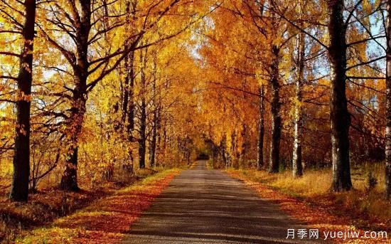 12個(gè)月份的園林設計與養護技術(shù)要點(diǎn)(圖7)