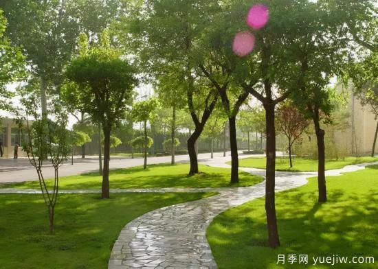 12個(gè)月份的園林設計與養護技術(shù)要點(diǎn)(圖5)