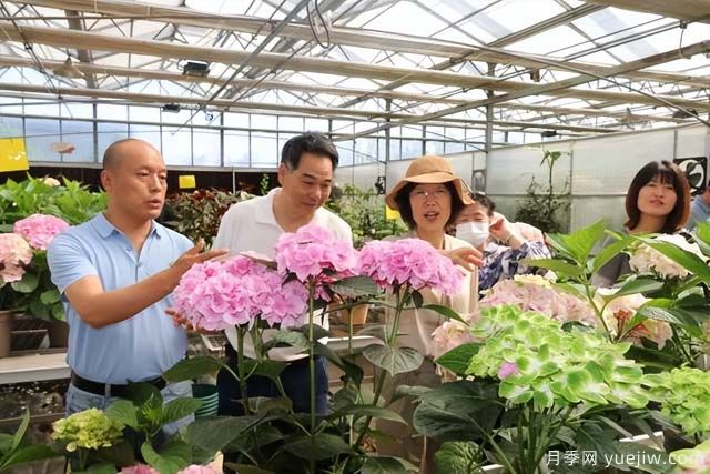 陜西省花卉產(chǎn)業(yè)創(chuàng  )新發(fā)展論壇舉行，培育陜花地域品牌(圖1)