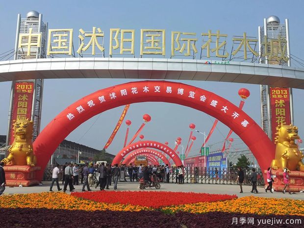 花木城：江蘇沭陽(yáng)國際花木城(圖1)