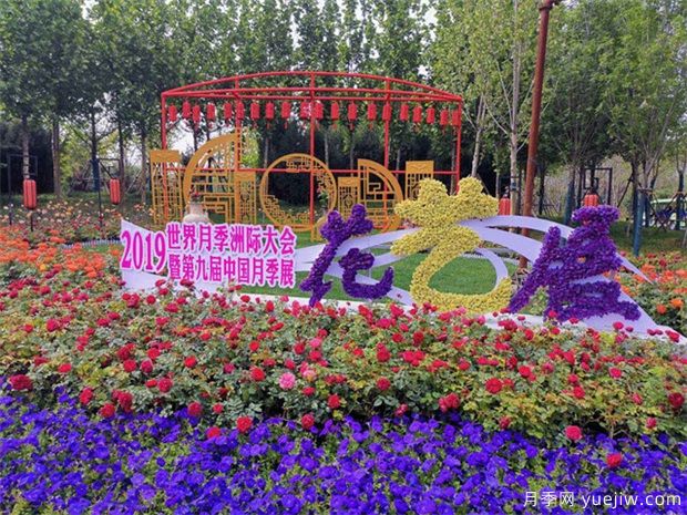 南陽(yáng)月季大觀(guān)園位置在哪里？怎么走？票價(jià)多少？(圖2)