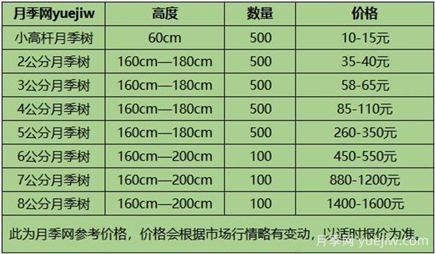 南陽(yáng)月季樹(shù)苗圃_月季樹(shù)價(jià)格_月季樹(shù)多少錢(qián)一株(圖1)