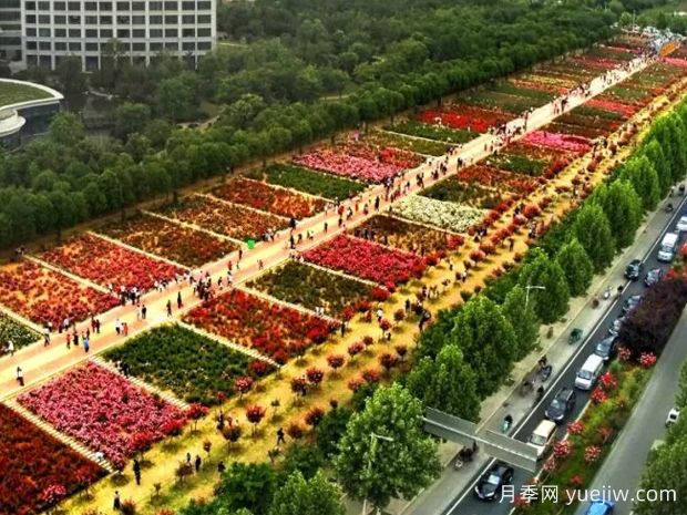 南陽(yáng)第二屆世界月季博覽會(huì )：當好東道主 熱情迎賓朋(圖3)