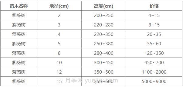 常用地徑4公分、5公分、10公分紫薇樹(shù)價(jià)格表(圖1)