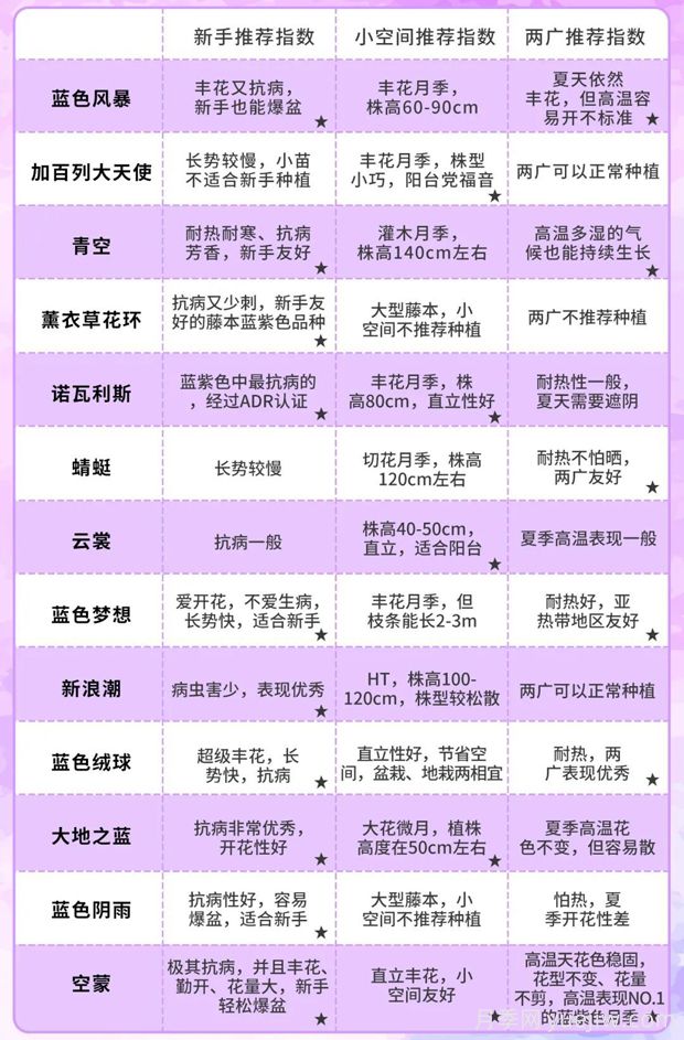 令人無(wú)法抗拒的藍色月季品種合集(圖9)