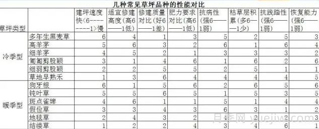 草坪品種及性能對比，收藏學(xué)習(圖2)