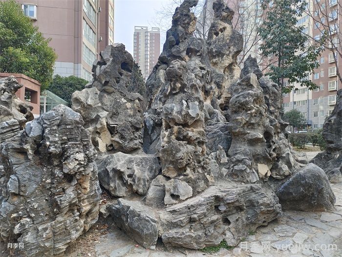 園林常用的十大景觀(guān)石種類(lèi)(圖1)
