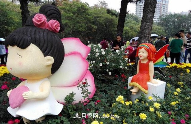 好多年沒(méi)到深圳人民公園看月季花展了，不知今年如何(圖4)