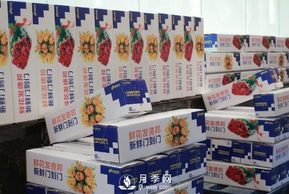 情人節春節相遇，德邦快遞＂春節不休＂滿(mǎn)足鮮花運輸旺盛需求(圖1)