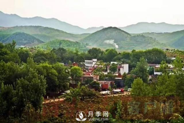 南陽(yáng)鎮平：“以綠引金”鑄就鄉村振興新亮點(diǎn)(圖1)