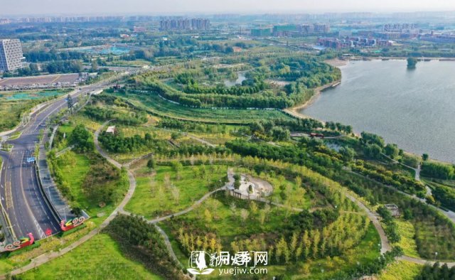 3.13萬(wàn)畝！2021年鄭州綠化目之所及皆是綠(圖1)