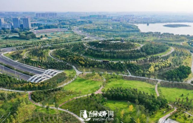 3.13萬(wàn)畝！2021年鄭州綠化目之所及皆是綠(圖3)