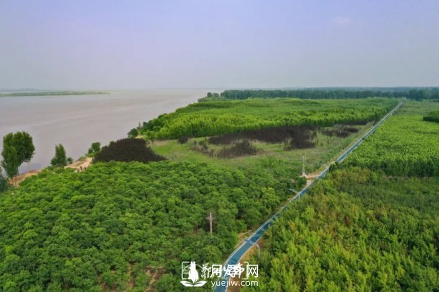 3.13萬(wàn)畝！2021年鄭州綠化目之所及皆是綠(圖4)