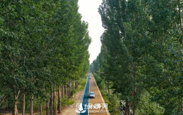 3.13萬(wàn)畝！2021年鄭州綠化目之所及皆是綠(圖2)