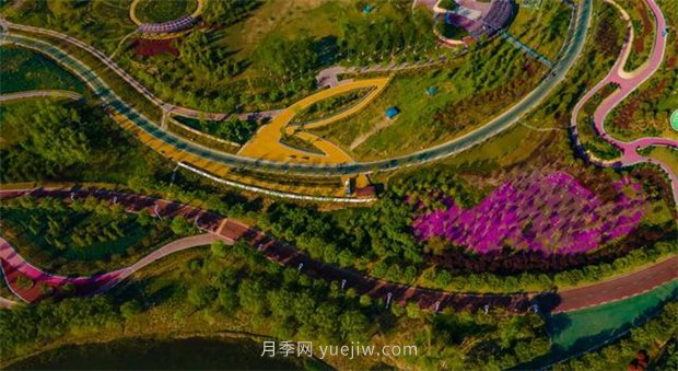 聊城九州洼月季公園五一出游樂(lè )園(圖3)