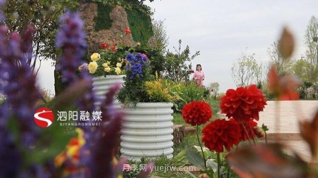 第十一屆中國月季展覽會(huì )：走進(jìn)常州展園(圖3)