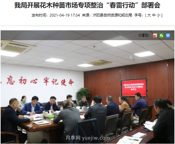 重拳出擊！江蘇沭陽(yáng)“打假”扣押苗木10萬(wàn)余株(圖2)