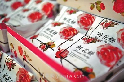 6000余種月季扮靚南陽(yáng)“世界月季名城”(圖4)
