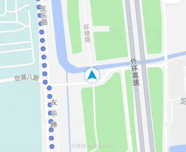 月季成墻、繡球綻放……上海長(cháng)寧外環(huán)林帶生態(tài)綠道花開(kāi)正艷(圖9)