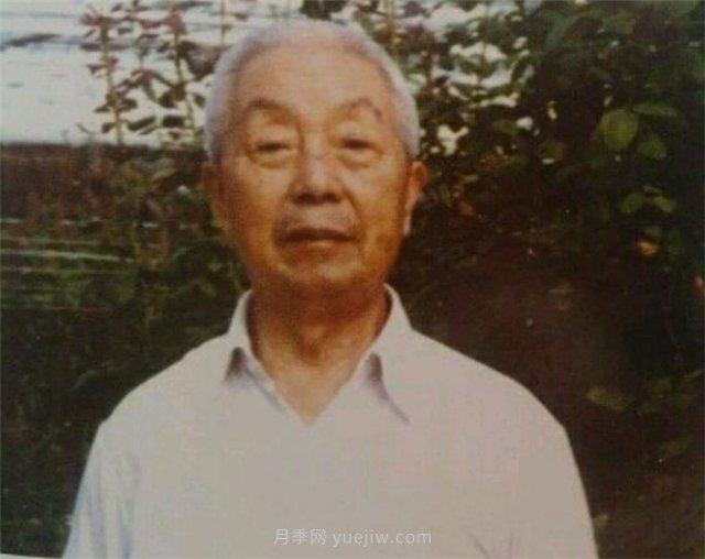 中國近現代月季育種家及其品種(圖5)