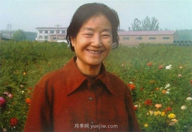 中國近現代月季育種家及其品種(圖8)