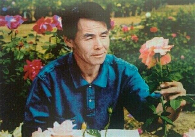 中國近現代月季育種家及其品種(圖12)