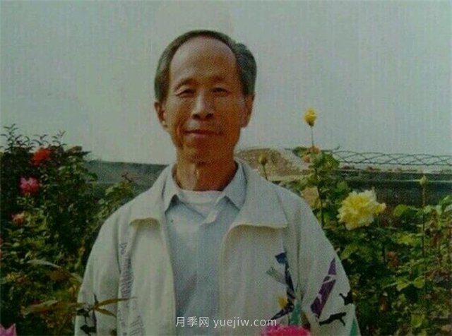 中國近現代月季育種家及其品種(圖10)