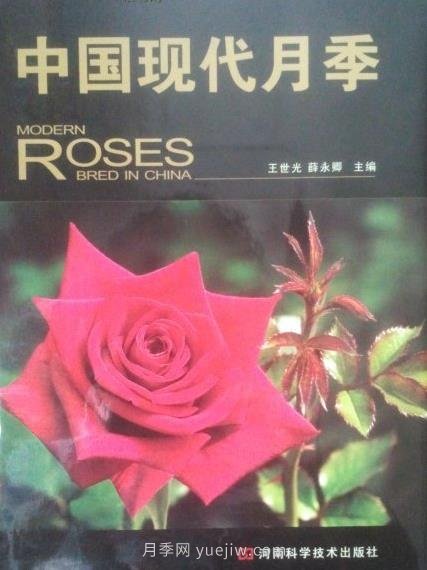 月季圖書(shū)：王世光，薛永卿《中國現代月季》(圖1)