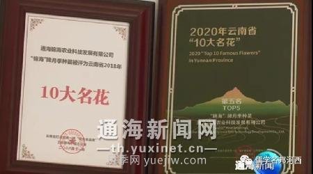 通海錦海農業(yè)“初心月季”榮獲“中國好品種”稱(chēng)號(圖2)
