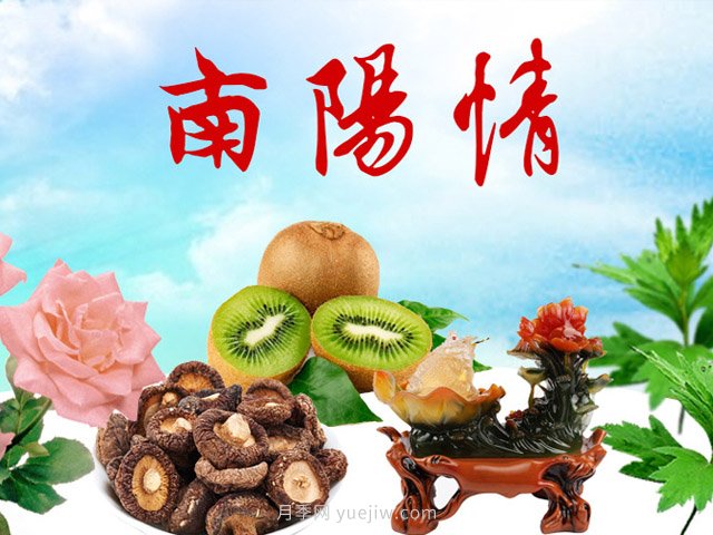 2021年南陽(yáng)市常住人口數量，及各區縣人口數量(圖1)