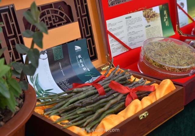 華潤三九赴南召縣開(kāi)展中藥材產(chǎn)業(yè)調研(圖1)