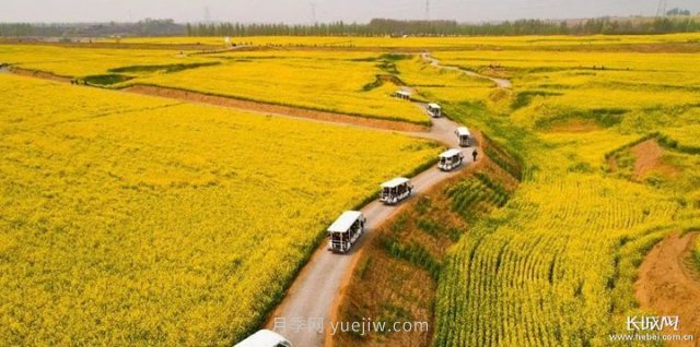 河北高質(zhì)量建設現代農業(yè)產(chǎn)業(yè)園(圖3)