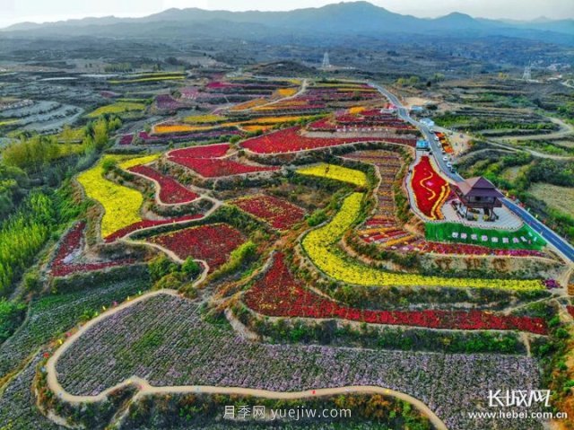 河北高質(zhì)量建設現代農業(yè)產(chǎn)業(yè)園(圖2)