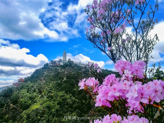 七月，邂逅大理雞足山極致風(fēng)光！(圖1)