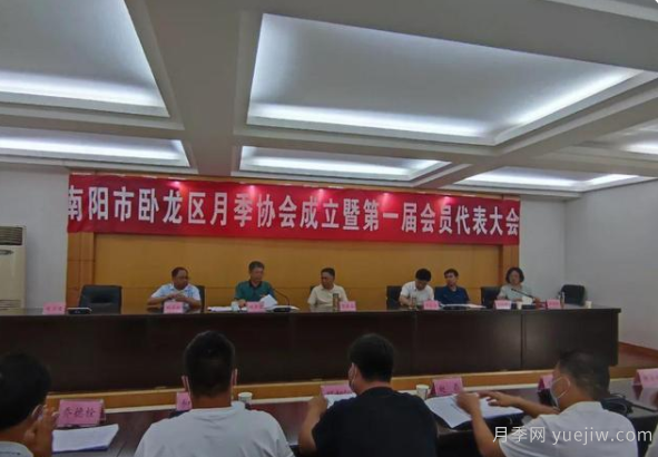 南陽(yáng)市臥龍區月季協(xié)會(huì )成立，趙磊當選會(huì )長(cháng)(圖1)