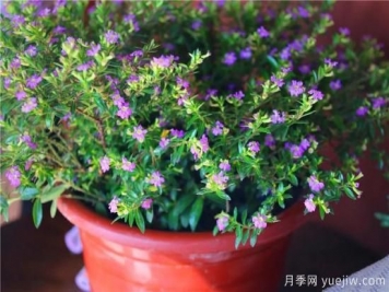 “厚德載物”是哪幾德，你知道嗎？漲知識！