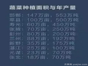 叫響南陽(yáng)蔬菜品牌，新野蔬菜基地和社旗蔬菜基地打牢基礎