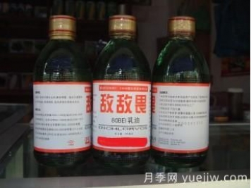 園林養護常用殺蟲(chóng)劑知識