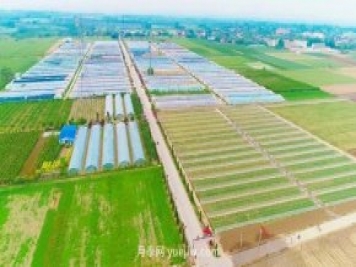 南陽(yáng)市2個(gè)現代農業(yè)產(chǎn)業(yè)園獲得河南首批省級認定