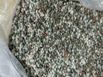 復合肥養月季使用方法