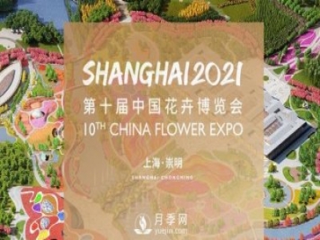 5月，第十屆中國花博會(huì )將在崇明拉開(kāi)帷幕