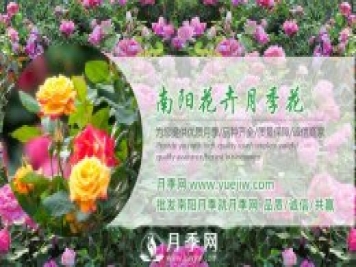 花木經(jīng)濟學(xué)的七條規律