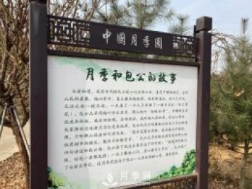 南陽(yáng)中國月季園，包公和月季的故事