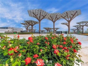 南陽(yáng)世界月季大觀(guān)園景區簡(jiǎn)介