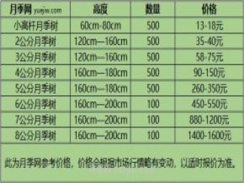 1-10公分月季樹(shù)價(jià)格是多少？樹(shù)狀月季5月報價(jià)單！