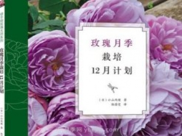 月季圖書(shū)：小山內健《玫瑰月季栽培12月計劃》