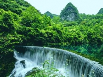 貴州特色林業(yè)產(chǎn)業(yè)基地達1078萬(wàn)畝