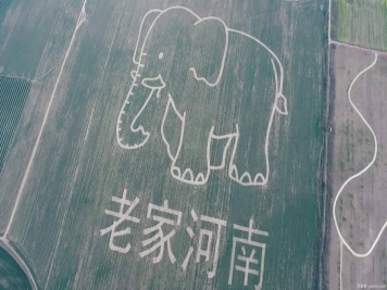 河南為什么被稱(chēng)為“老家河南”？