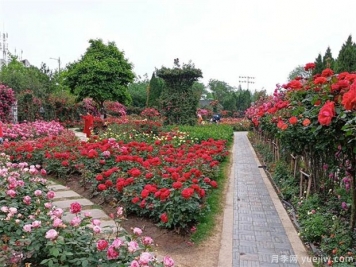 國家公園建設，將帶動(dòng)這些苗木的需求市場(chǎng)