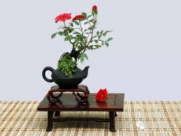 如何制作漂亮的月季盆景？藝術(shù)品來(lái)了